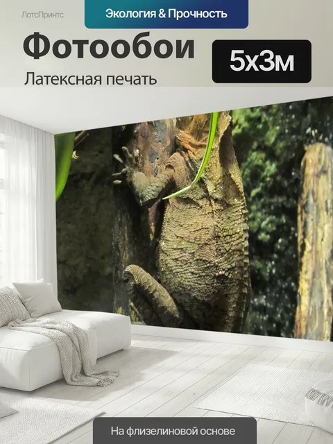 500 × 300 см · Латексная печать