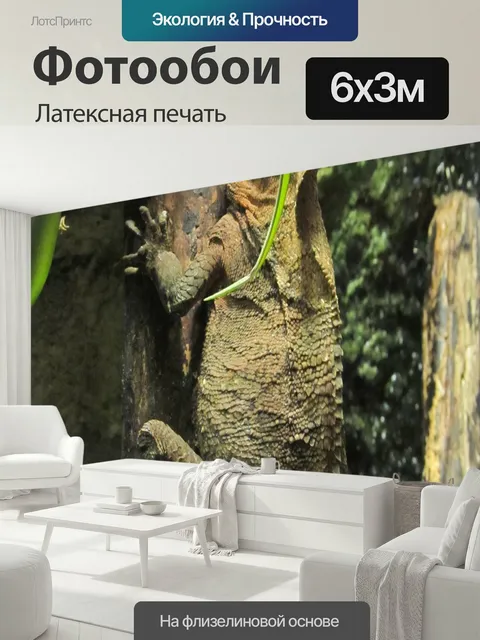 600 × 300 см · Латексная печать