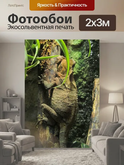 200 × 300 см · Экосольвентная печать