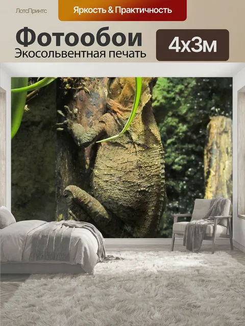 400 × 300 см · Экосольвентная печать