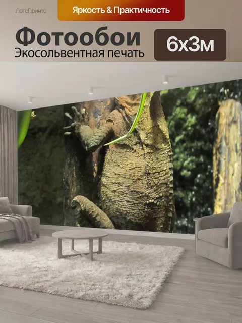 600 × 300 см · Экосольвентная печать
