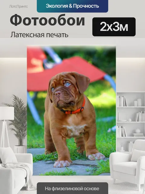 200 × 300 см · Латексная печать
