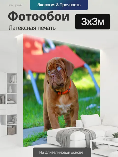300 × 300 см · Латексная печать