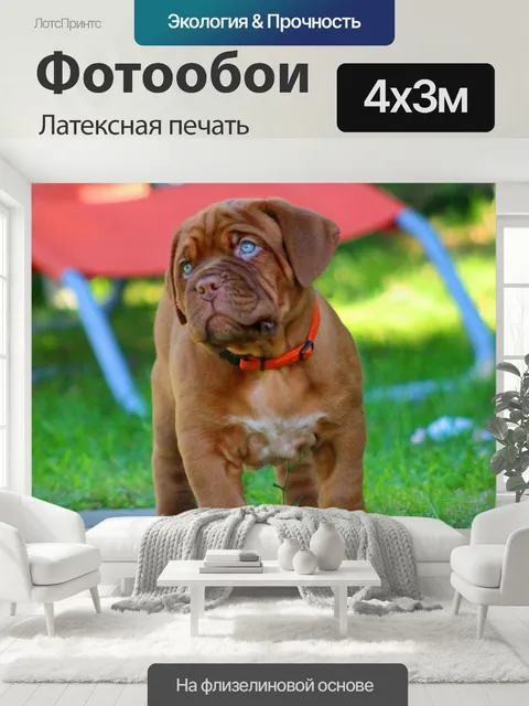 400 × 300 см · Латексная печать