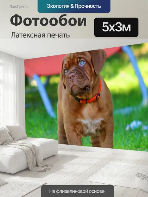 500 × 300 см · Латексная печать