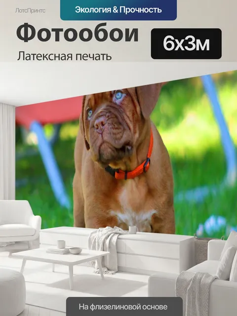 600 × 300 см · Латексная печать