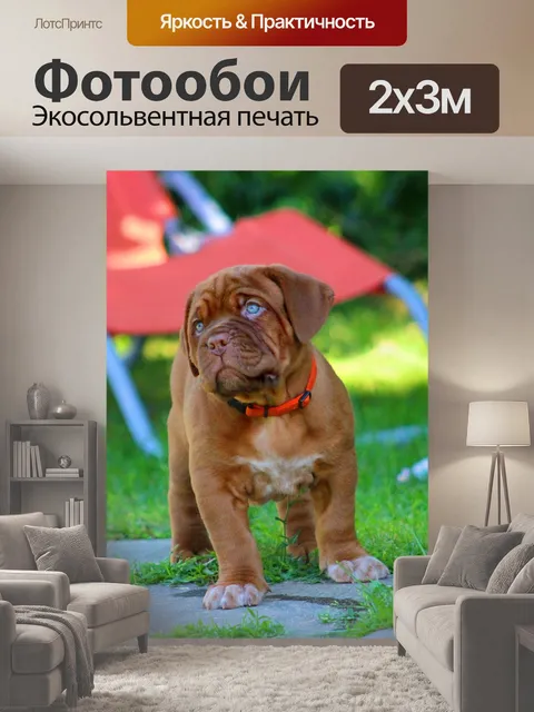 200 × 300 см · Экосольвентная печать