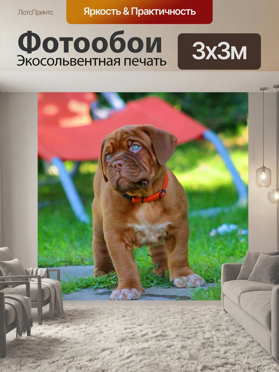 Фотообои Собака, бордоский дог, щенок