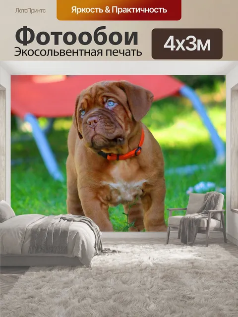 400 × 300 см · Экосольвентная печать