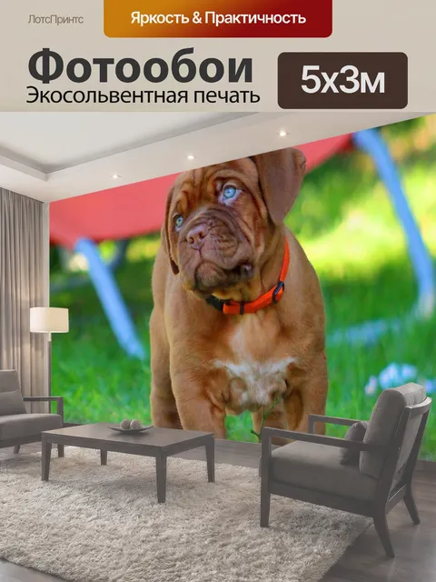 500 × 300 см · Экосольвентная печать