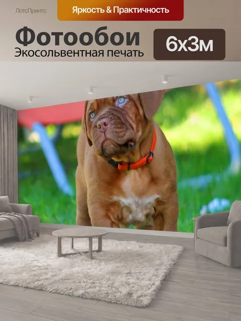 600 × 300 см · Экосольвентная печать