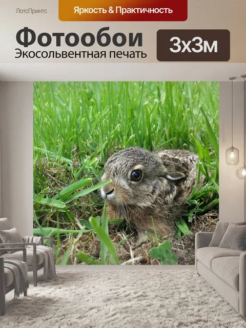 Фотообои Кролик, lapereau, заяц