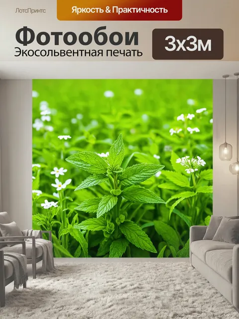 Фотообои Поле мятной травы, из которой поднимается свежий запах, а рядом прячутся белые цветы