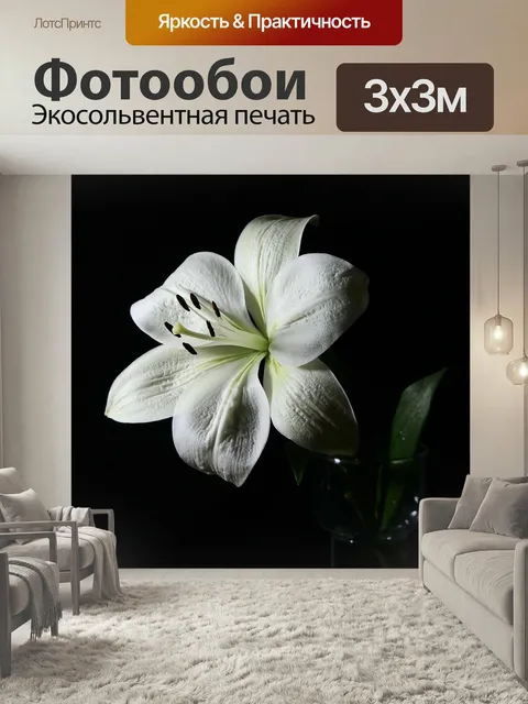 Фотообои Лили, белая лилия, цветочный