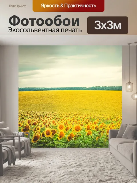 Фотообои Подсолнух, цветы, желтый