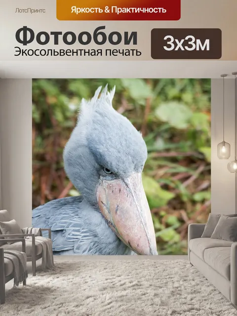 Фотообои Нильский китоглав, птица, синий