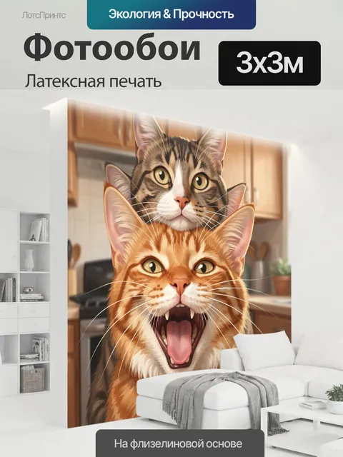 300 × 300 см · Латексная печать