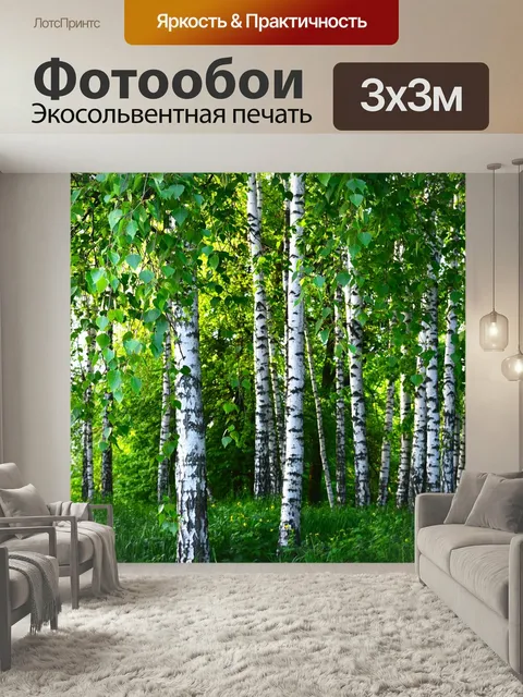 Фотообои Березы, роща, лес