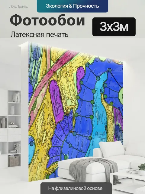 300 × 300 см · Латексная печать