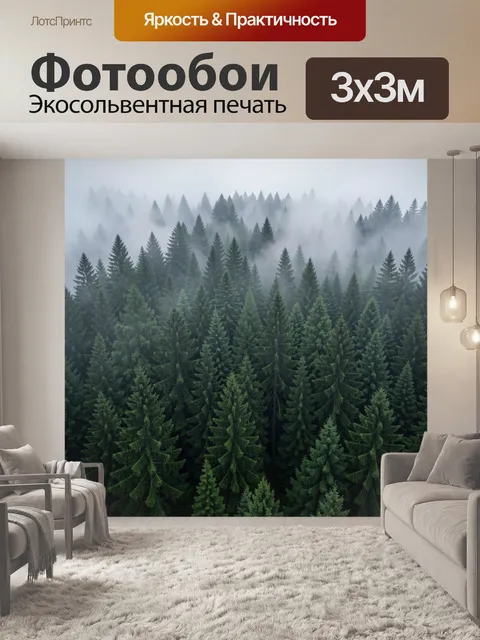 Фотообои Туманный хвойный лес
