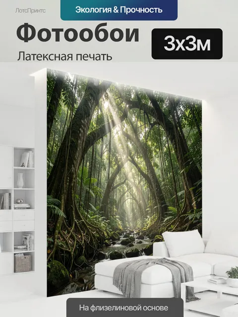 300 × 300 см · Латексная печать