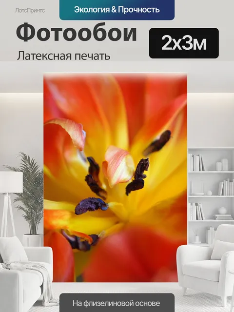 200 × 300 см · Латексная печать
