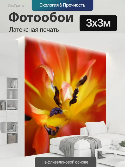 300 × 300 см · Латексная печать