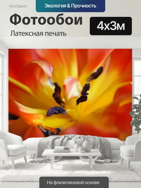 400 × 300 см · Латексная печать