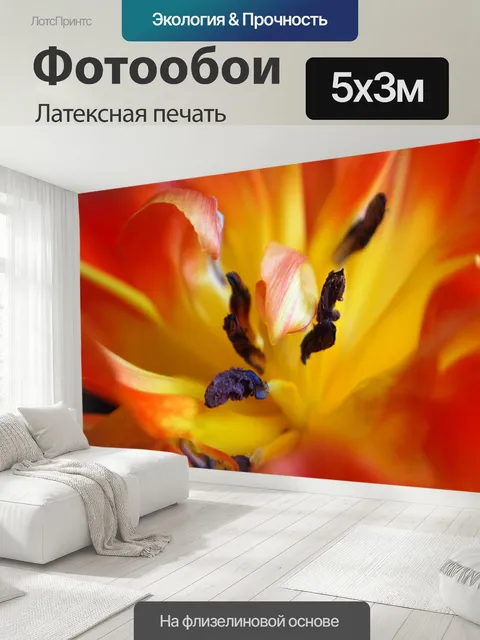 500 × 300 см · Латексная печать