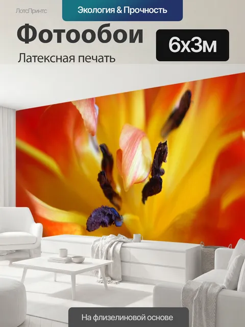 600 × 300 см · Латексная печать