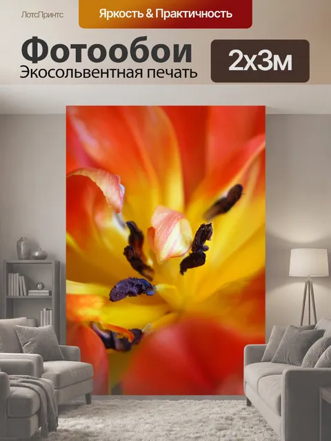 200 × 300 см · Экосольвентная печать