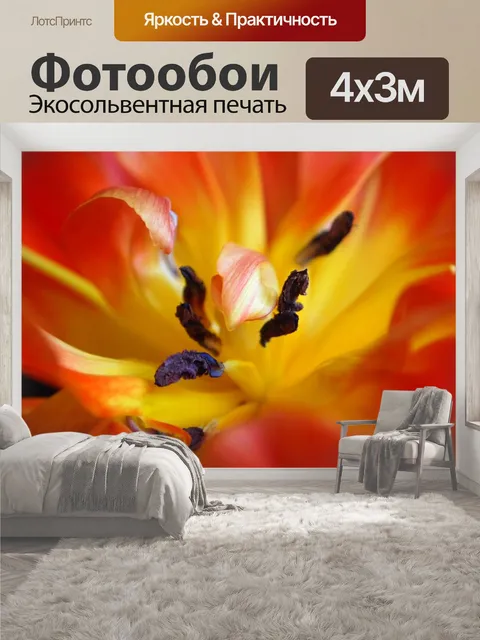 400 × 300 см · Экосольвентная печать