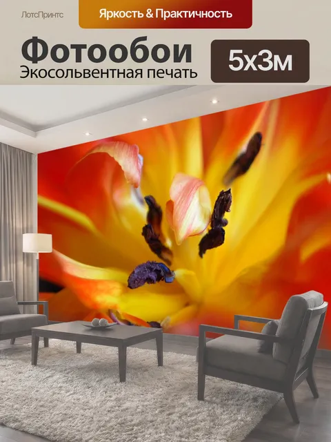 500 × 300 см · Экосольвентная печать