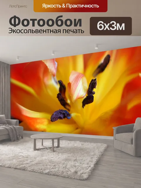 600 × 300 см · Экосольвентная печать