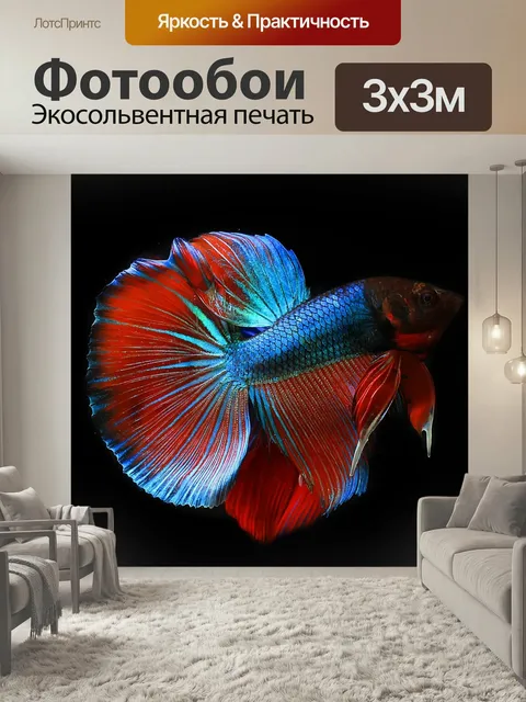 Фотообои Природа, сиамский, аквариум
