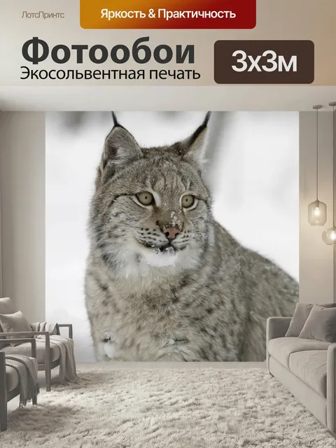 Фотообои Рысь, природа, снег