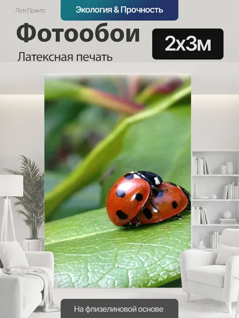 200 × 300 см · Латексная печать