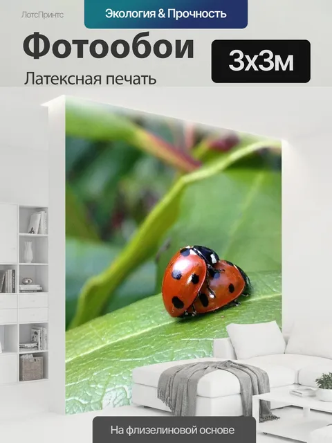300 × 300 см · Латексная печать