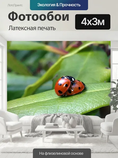 400 × 300 см · Латексная печать
