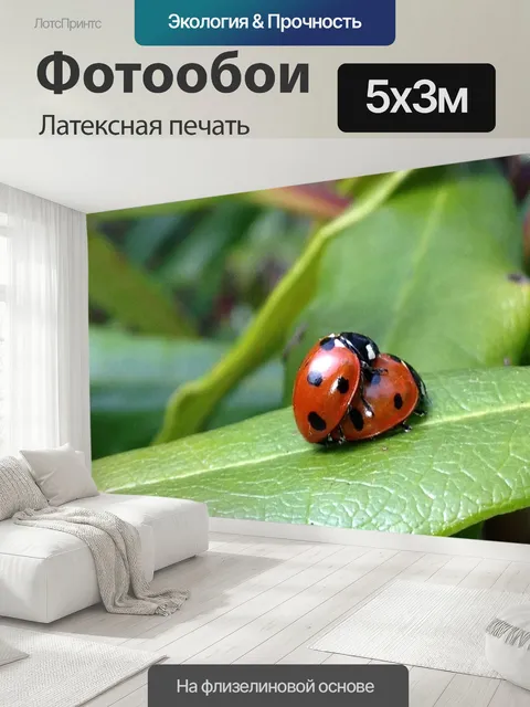 500 × 300 см · Латексная печать