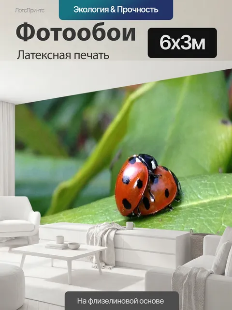 600 × 300 см · Латексная печать
