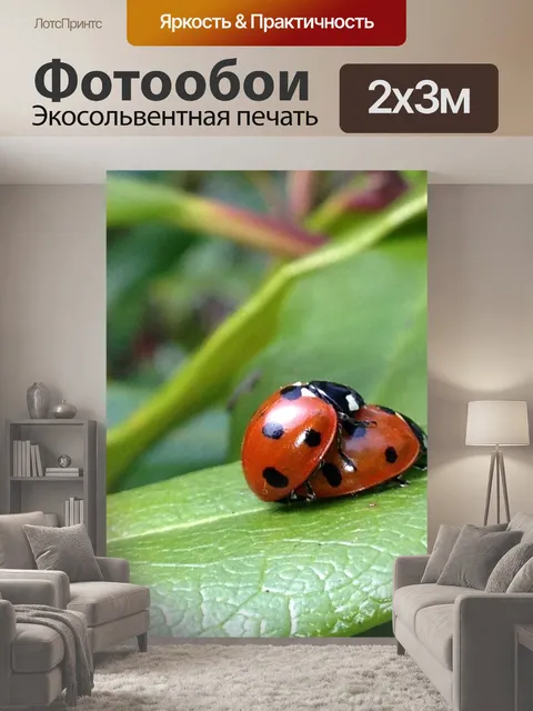200 × 300 см · Экосольвентная печать