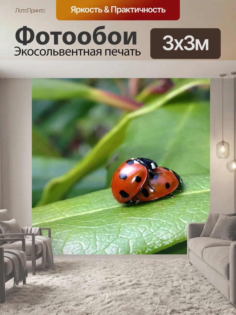 Фотообои Божья коровка, лист, сад