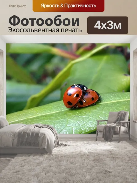 400 × 300 см · Экосольвентная печать