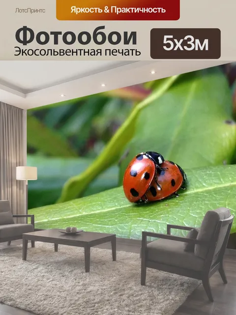 500 × 300 см · Экосольвентная печать