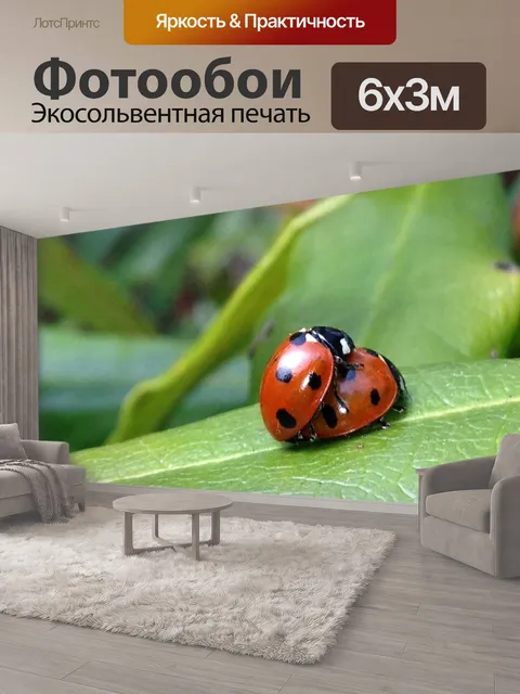 600 × 300 см · Экосольвентная печать
