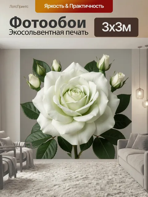 Фотообои Белая роза с бутонами. Нежный цветочный сюжет с крупным кремово-белым соцветием и несколькими нераскрытыми бу…