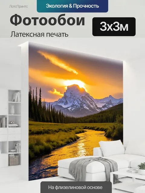 300 × 300 см · Латексная печать