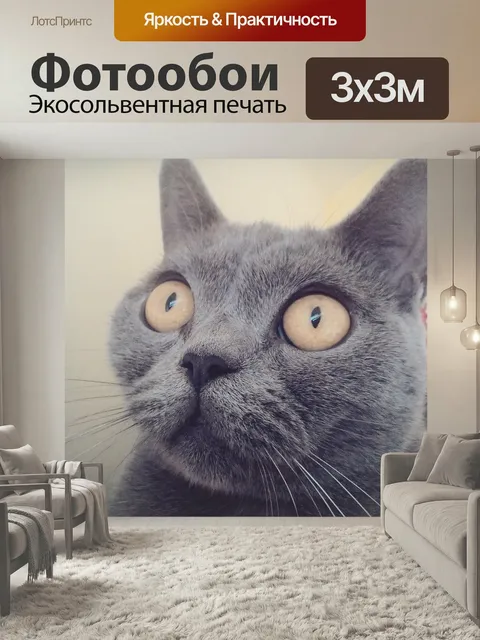 Фотообои Кот, животные, лицо