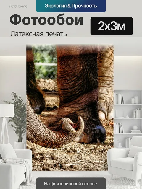 200 × 300 см · Латексная печать